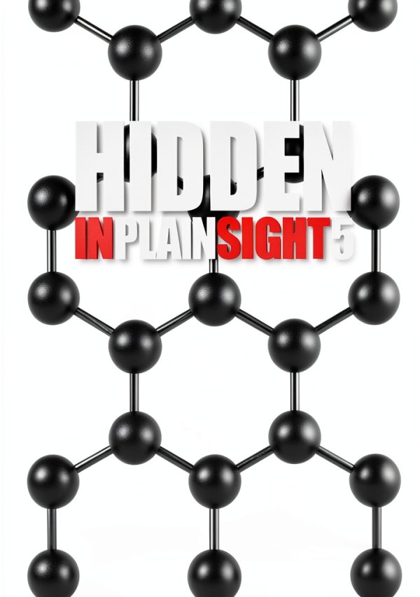 Hidden In Plain Sight Book 5 Kindle English Physics-0